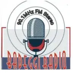 Badeggi Radio