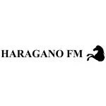 Rádio Haragano FM